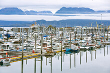 Marina At Homer Harbour In The Kenai Peninsula, Alaska, USA; Homer, Alaska, United States Of America