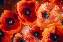Beautiful Red Poppy Flowers And Water Drops On The Petals And On The Table. Close-up. Generative AI