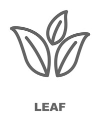 Poster - leaf icon illustration on transparent background