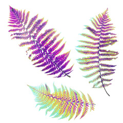 pink neon tropical leaves of fern