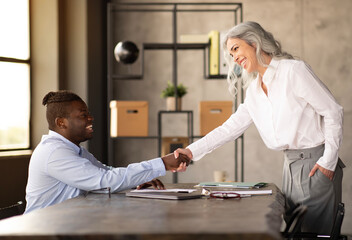 Wall Mural - Businessman Having Job Interview Shaking Hands With Employee In Office