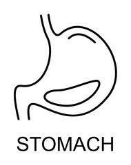 Poster - stomach line icon illustration on transparent background
