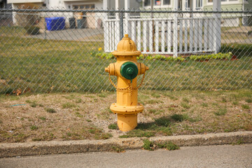 Wall Mural - fire hydrant on a street corner, symbolizing the crucial role it plays in ensuring public safety and protecting against the devastating effects of fires