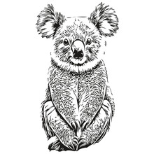 Koala Vector Illustration Line Art Drawing Black And White Koala Bear