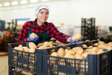 Warehouse worker checks the quality of the harvested potato crop