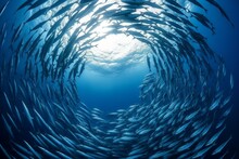 School Of Fish Swimming Under Water Of Sea. School Sardinella Fish Swims In Underwater. AI Generated, Human Enhanced