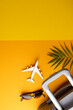 Airplane model, sunglasses, plant and suitcase on yellow background with copy space