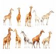 Variety of giraffes isolated on white generative ai