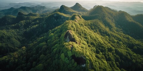 Aufkleber - A view from a height of a mountain peak with green trees in the fog.Aerial view. Panoramic shot. Generative AI