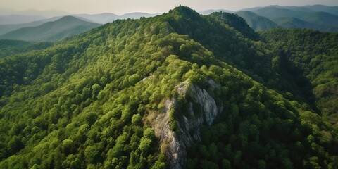 Poster - A view from a height of a mountain peak with green trees in the fog.Aerial view. Panoramic shot. Generative AI