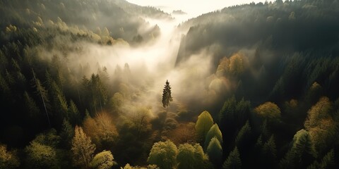 Poster - View from the height of the forest in the fog.Aerial view. Panoramic shot. Generative AI