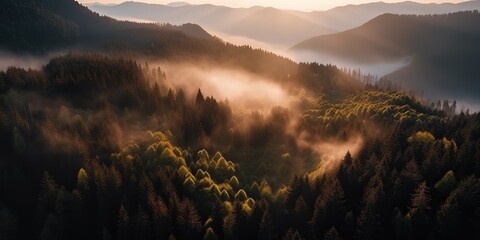 Poster - View from the height of the forest in the fog.Aerial view. Panoramic shot. Generative AI