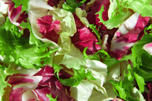 Fresh Mixed Salad Field Greens Piled Closeup Top View. Various Vegetable Leaves Wallpaper. Healthy Juicy Salad Mix With Frisee, Radicchio, Chard Leaf And Lettuce Is Spinning, Rotation. Mixed Greens