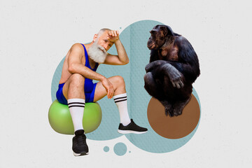 Abstract collage image of monkey grandfather sit fit ball wipe sweat gym weight loss isolated on painted background