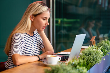 Wall Mural - Concentrated at work. Beautiful woman working on laptop in creative office or cafe.