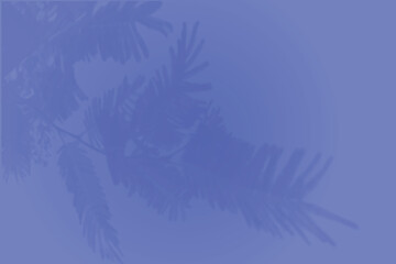 Wall Mural - The shadow of tropical fern leaves on a blue wall. Vector image for photo overlay or mockup