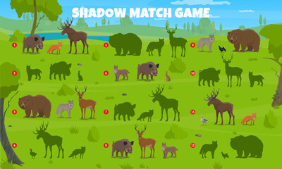 Poster - Shadow match game. Find similar silhouette of forest animals and birds. Vector game, riddle worksheet with wolf, boar, bear and deer, fox, hare, elk or lynx, and duck wildlife beasts on green lawn