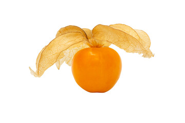 Wall Mural - Closeup of Cape gooseberry, physalis with isolated on transparent background, clipping path, PNG