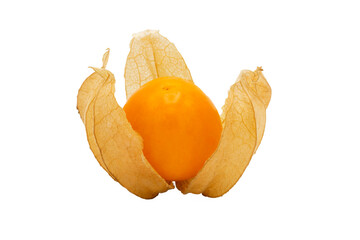 Wall Mural - Closeup of Cape gooseberry, physalis with isolated on transparent background, clipping path, PNG