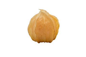 Wall Mural - Closeup of Cape gooseberry, physalis with isolated on transparent background, clipping path, PNG