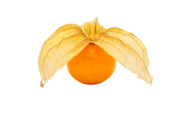 Wall Mural - Closeup of Cape gooseberry, physalis with isolated on transparent background, clipping path, PNG