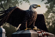Bald Eagle standing on the toombstone at cemetery with american flag. Honoring the dead soldiers. Memorial Day concept. Ai generative