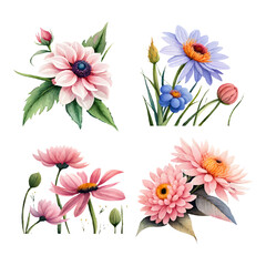 Wall Mural - collection of drawn watercolor flowers