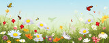 Fototapeta Do przedpokoju - Frühlings Blumenwiese Hintergrund Banner Illustration mit Schmetterlinge (Generative AI)