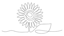 One Line Sunflower Element. Black And White Monochrome Continuous Single Line Art. Outline Drawing,vector