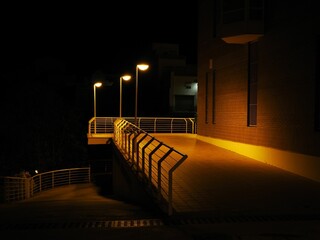 Wall Mural - Handrails illuminated by street lamps at night.