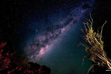 Poster - Low angle shot of a galaxy starry milky way night sky