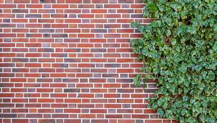 Wall Mural - dark texture of old red bricks wall background