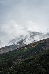 Wall Mural - View of autumn fyellow-green forest with snow covered mountain peaks in the clouds