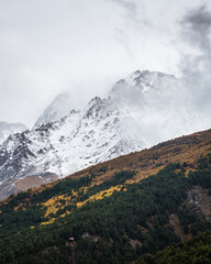 Wall Mural - View of autumn fyellow-green forest with snow covered mountain peaks in the clouds