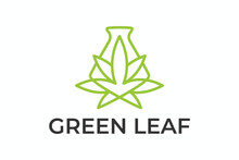 Cannabis Leaf Logo Design Vector Illustration