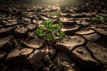 Green Shoots Growing In A Dry Cracked Soil, Generative Ai