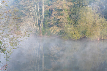 Canvas Print - Misty river dawn