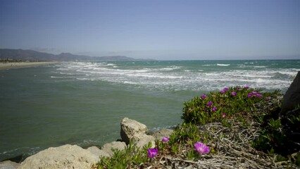 Wall Mural - Red flowers on the rocks of Spain in a strong wind. White waves beat against the rocks of the coast. Sunny spring day