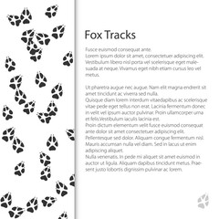 Wall Mural - Cover design with traces of forest animal, fox mammal footprint, vector illustration