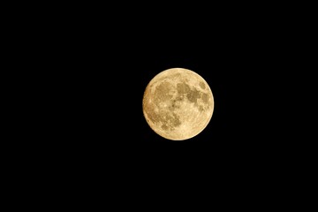 Wall Mural - full moon in the dark sky