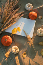 Overhead View Of A Piece Of Blank White Paper With Dried Pampas Grass, Pumpkins And Autumn Leaves On A Linen Tablecloth