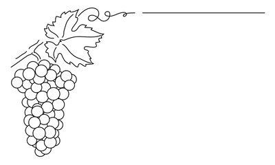 Wall Mural - Bunches of grapes.  Vine. Vector line drawing on white or transparent background. Grapevine