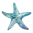 Blue watercolor starfish illustration isolated on transparent background, underwater animals ocean collection. Generative AI