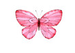 A light pink butterfly. Watercolor illustration, poster.