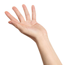 Hand Showing Or Asking Or Giving Something, Cut Out