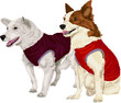 Vector illustration of astronaut dogs Belka and Strelka. 
Mongrel wearing jacket. Vector illustration of a dogs in doggy jacket. 
Mongrel vector graphic on transparent background. Illustrations of dog