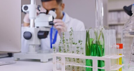 Poster - Plant science, microscope and a man in a laboratory for analysis for food gmo research. Male scientist in a medical lab for development, study and working on future innovation with sample for test