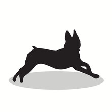 Akbash Silhouettes And Icons. Black Flat Color Simple Elegant Akbash  Animal Vector And Illustration.