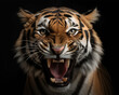 Detailed portrait of a roaring tiger's face, isolated on black background. generative ai