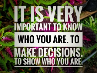 Motivation inspiration quotes for success business attitude self development.it say it is very important to know who you are to make decisions to show who you are on natural background